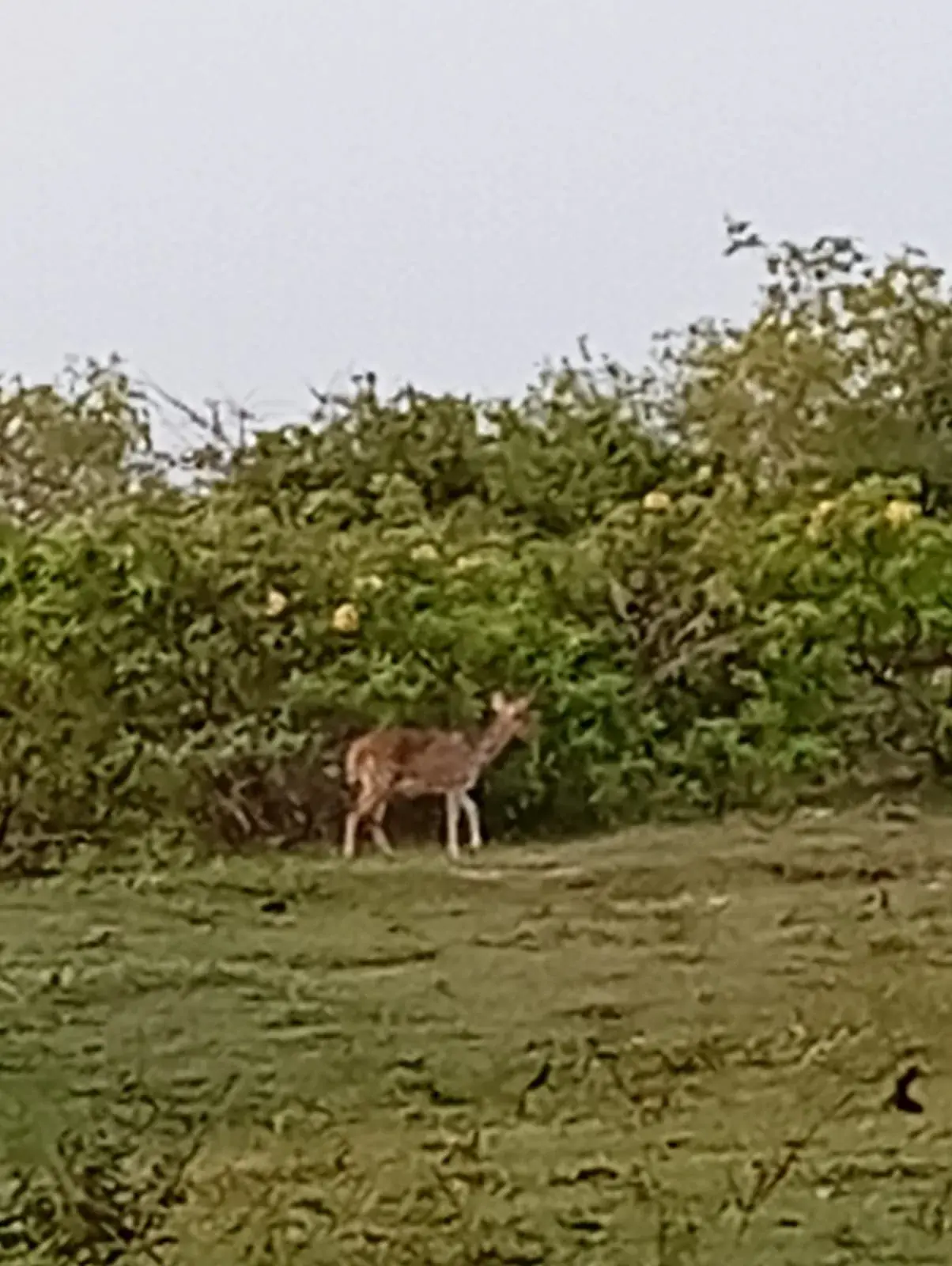 AJ Travels gallery photo 40